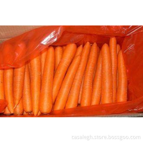 Bright Red Crunchy Organic Carrot With Round Head For Marke